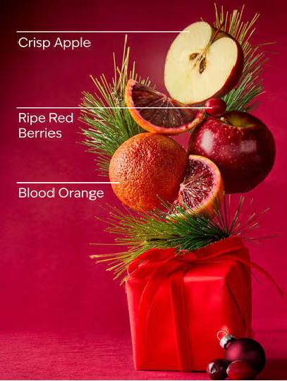 BRIGHT CHRISTMAS MORNING