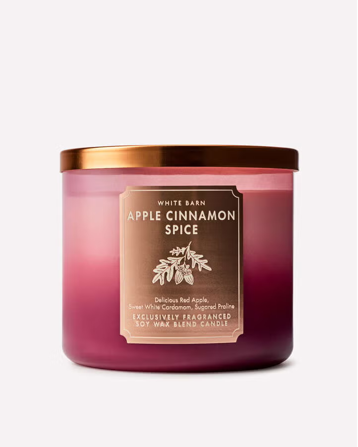 APPLE CINNAMON SPICE