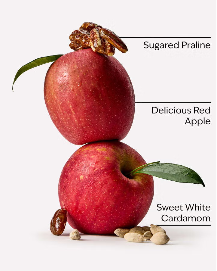 APPLE CINNAMON SPICE