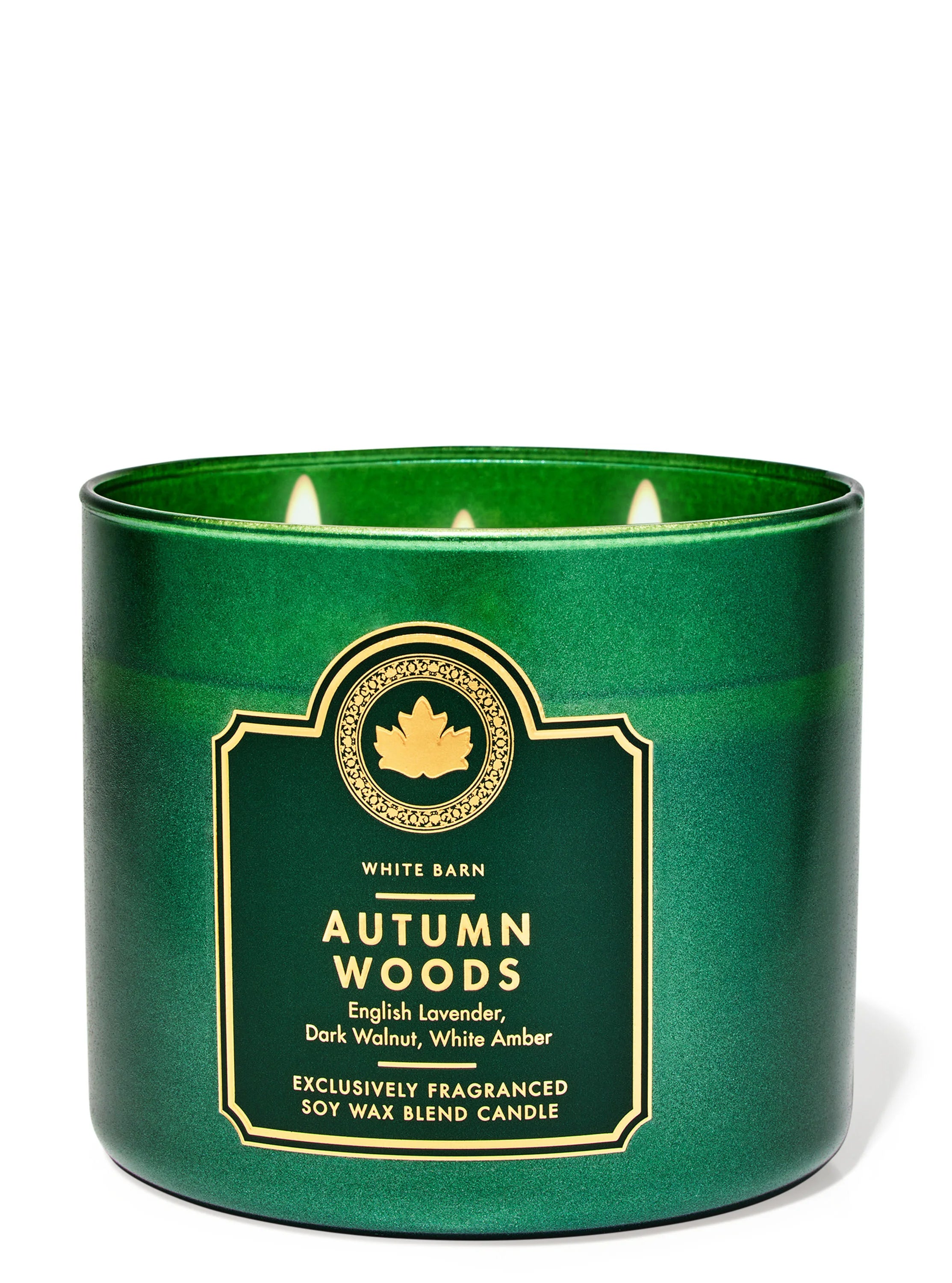 AUTUMN WOODS