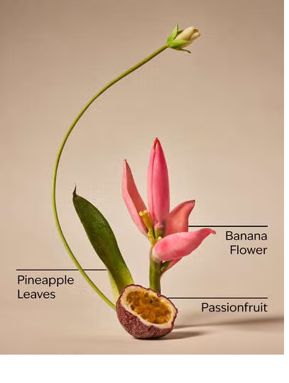 BAHAMAS PASSIONFRUIT AND BANANA FLOWER
