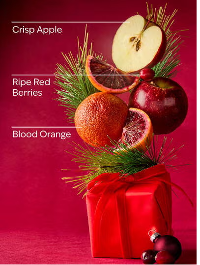 BRIGHT CHRISTMAS MORNING