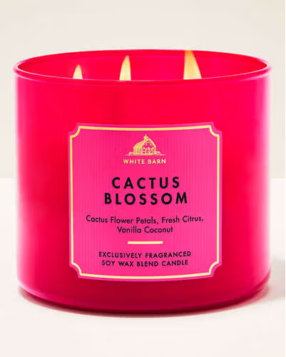 CACTUS BLOSSOM
