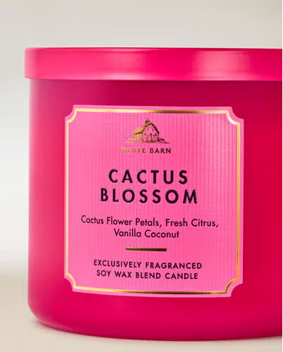 CACTUS BLOSSOM
