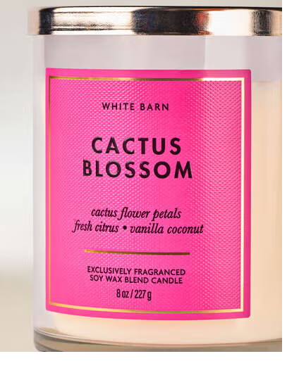 CACTUS BLOSSOM
