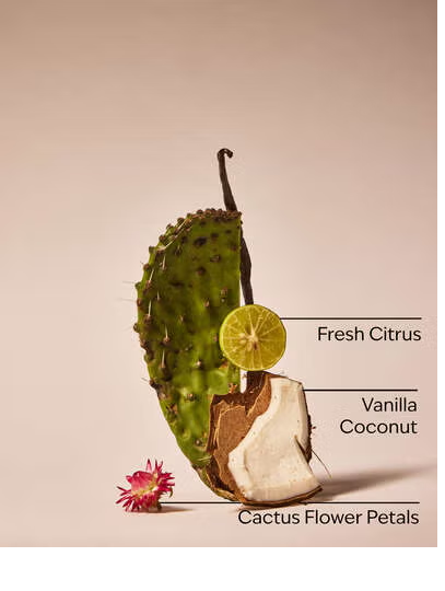 CACTUS BLOSSOM