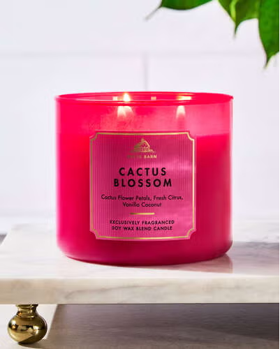 CACTUS BLOSSOM