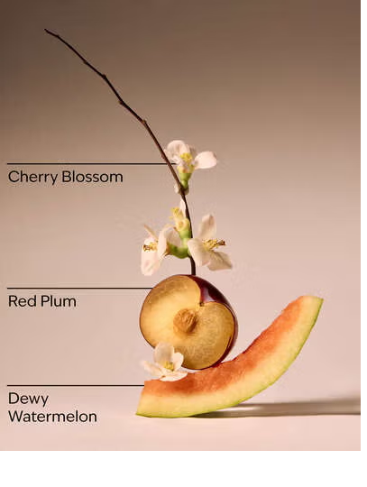 CHERRY BLOSSOM
