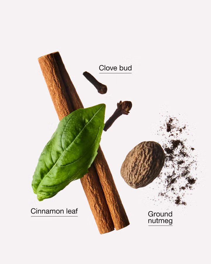 CINNAMON AND CLOVE BUDS