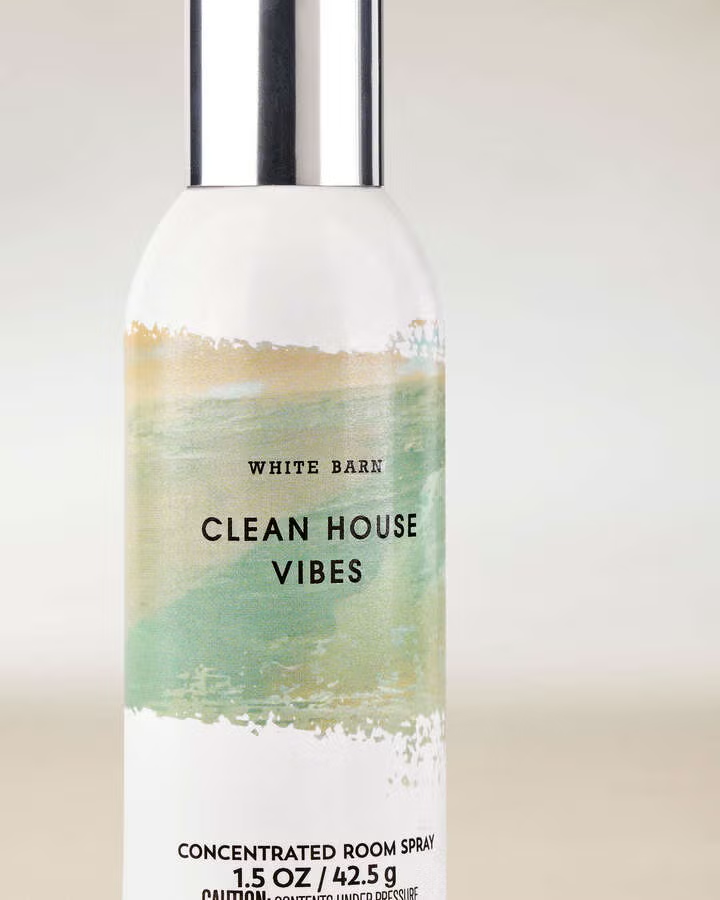 CLEAN HOUSE VIBES