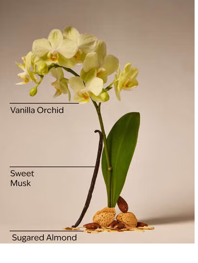 COZY VANILLA ALMOND