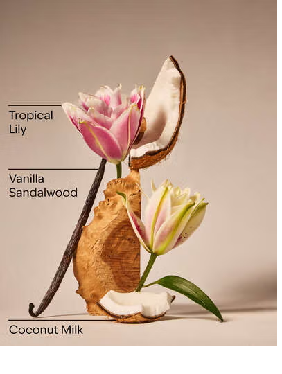 EAU DE COCONUT