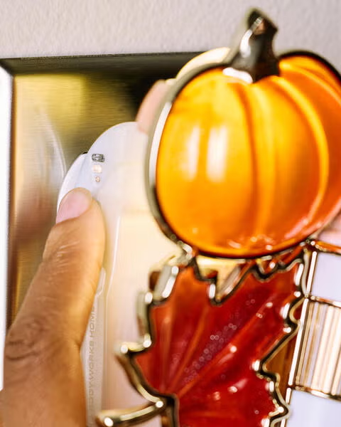 FALL CLUSTER SCENT CONTROL NIGHTLIGHT