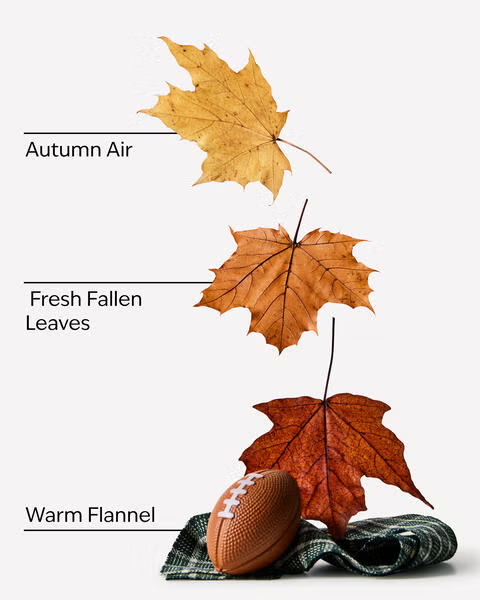 FOOTBALL SEASON