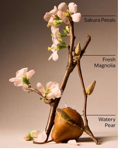 FOREVER CHERRY BLOSSOM