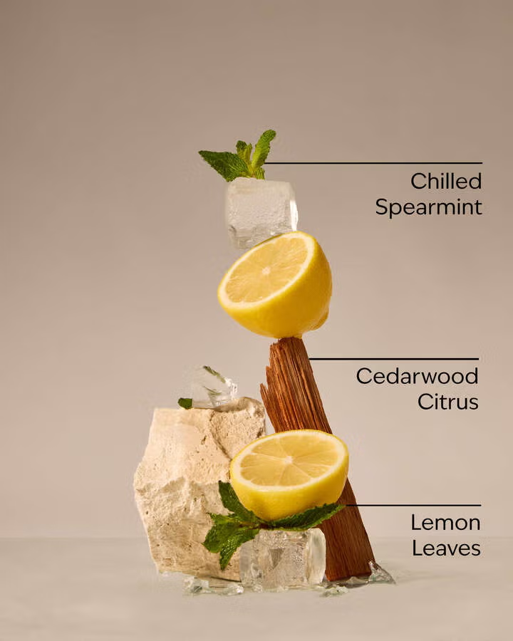 FRESH AMALFI LEMON