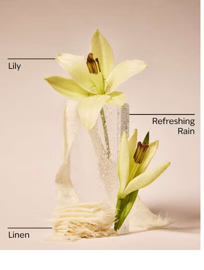 FRESH RAINFALL AND LINEN