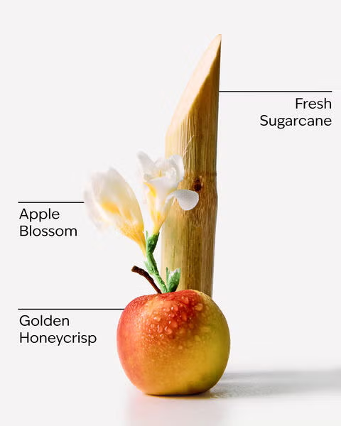 HONEYCRISP APPLE