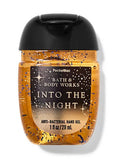 INTO THE NIGHT