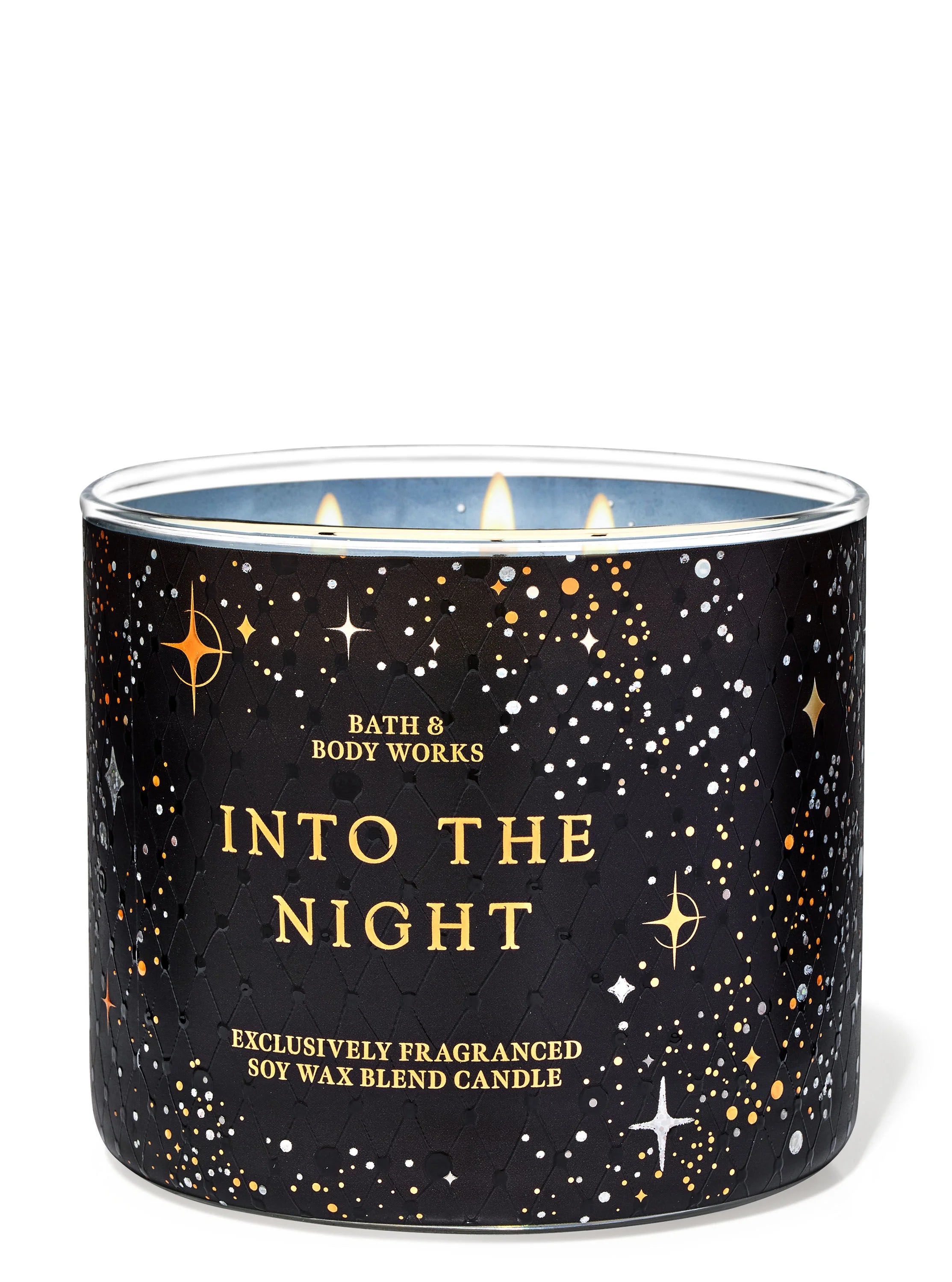 INTO THE NIGHT
