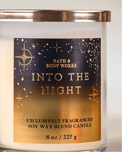 INTO THE NIGHT