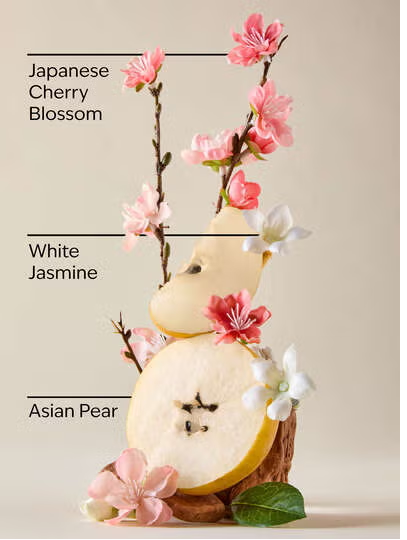 JAPANESE CHERRY BLOSSOM