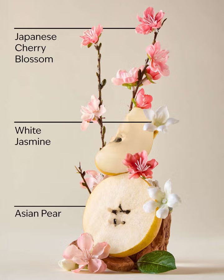 JAPANESE CHERRY BLOSSOM