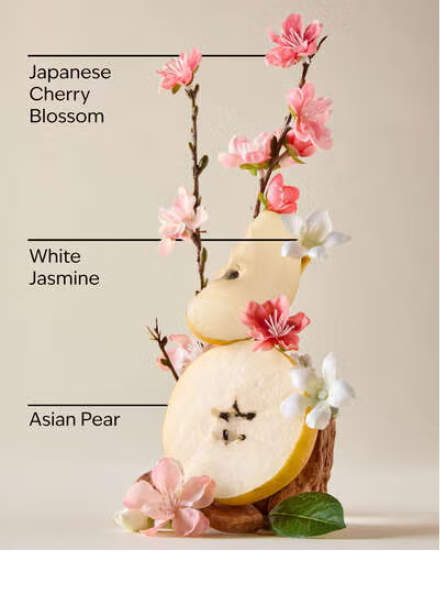 JAPANESE CHERRY BLOSSOM