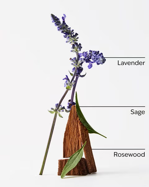 LAVENDER + JASMINE