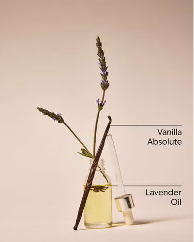LAVENDER VANILLA