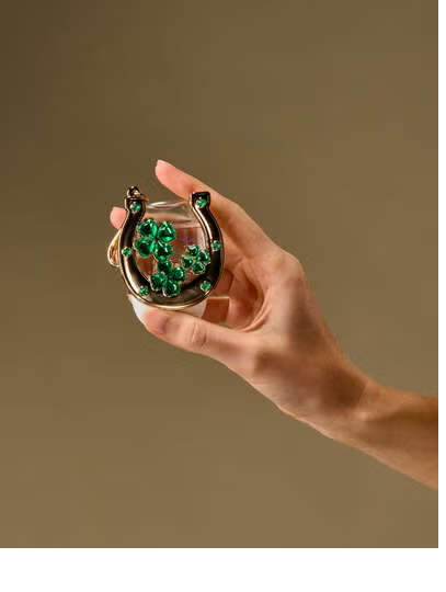 LUCKY HORSESHOE AND CLOVERS