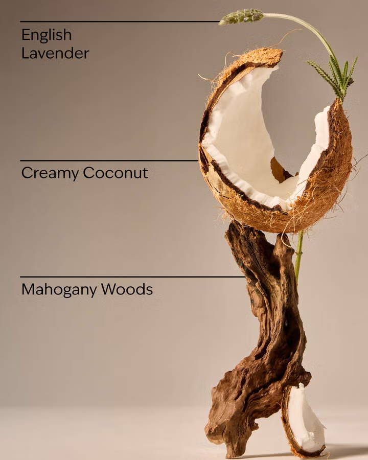 MAHOGANY COCONUT