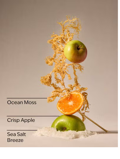 MARINE WAVES AND CITRUS