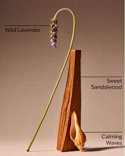 OCEANSIDE LAVENDER