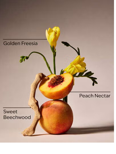VERA BRADLEY PEACH BLOSSOM AND NECTAR