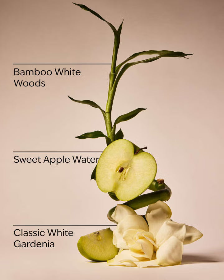 RAINFOREST GARDENIA