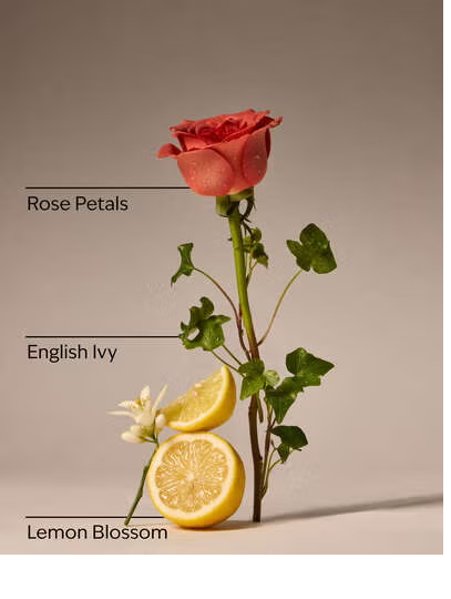 MOISTURIZING ROSE WATER AND IVY
