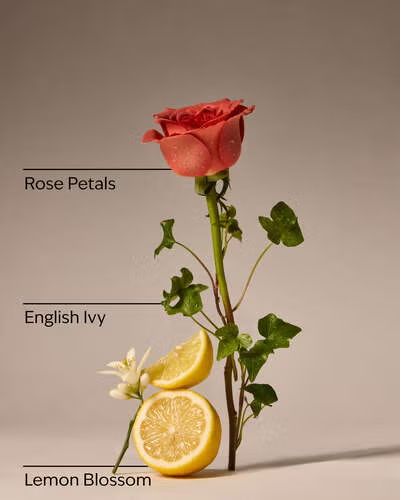 ROSE WATER AND IVY