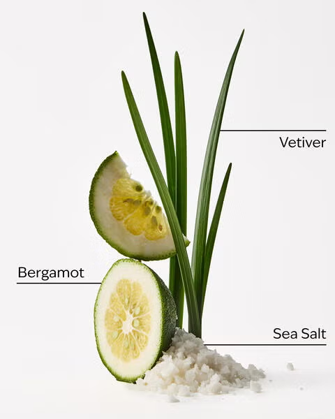 SEA SALT + MUSK