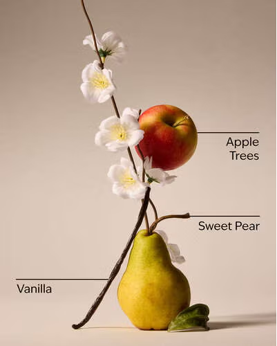 SPRING APPLE