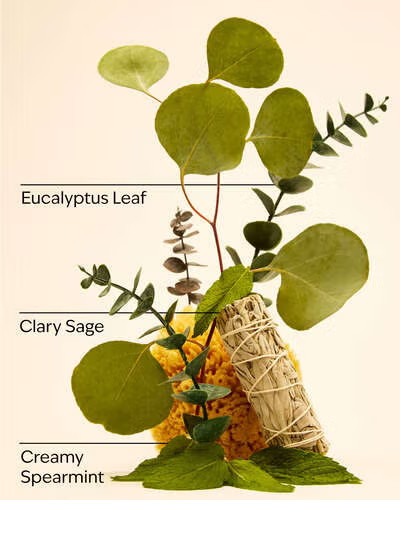 STRESS RELIEF EUCALYPTUS SPEARMINT