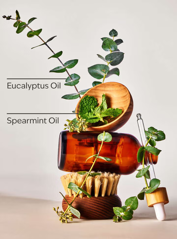 STRESS RELIEF EUCALYPTUS SPEARMINT