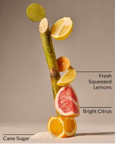 SUNSHINE AND LEMONS