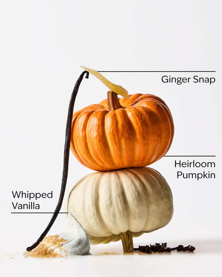 SWEET CINNAMON PUMPKIN