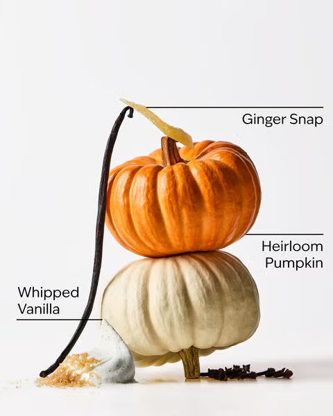 SWEET CINNAMON PUMPKIN