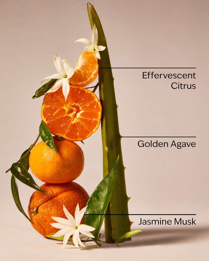 SWEET ORANGE AND AGAVE