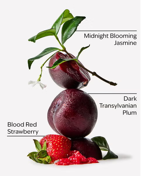 VAMPIRE BLOOD