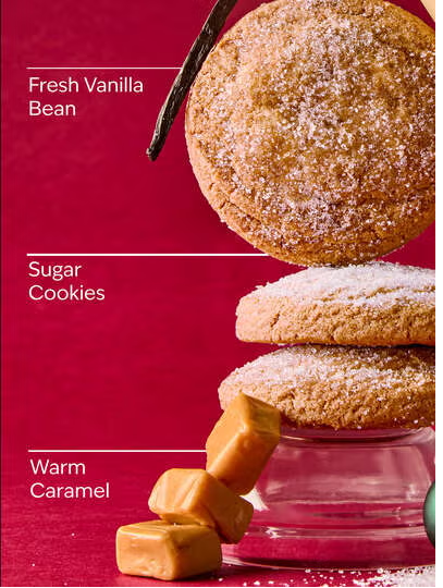 VANILLA BEAN NOEL