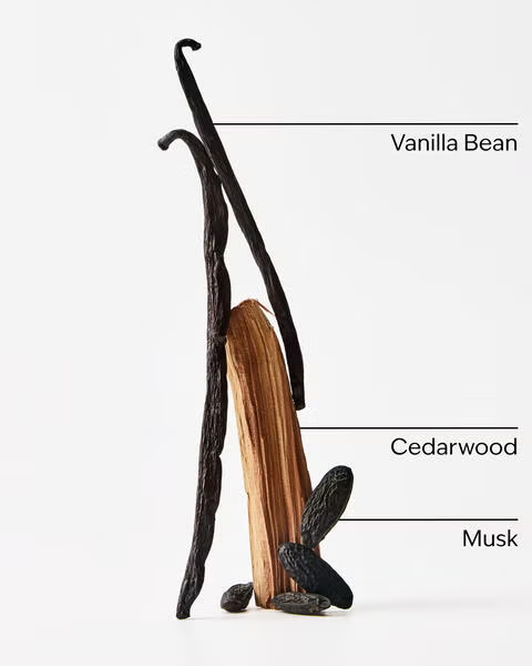 VANILLA + TONKA