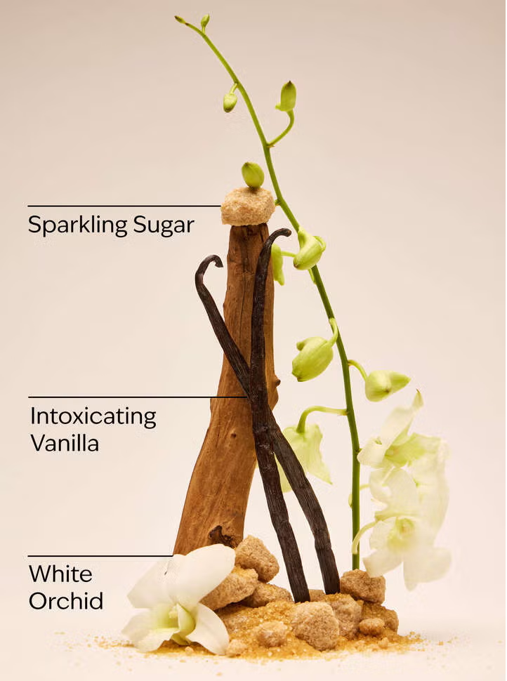 WARM VANILLA SUGAR